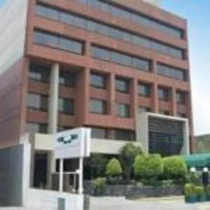 佩德雷加尔皇宫酒店 - 托卢卡