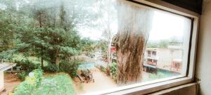 The Pearl Homestay