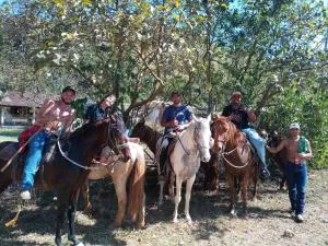 paulista ou drica - 夸蒂斯