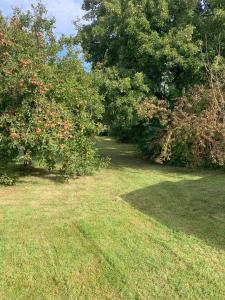 Bed & Breakfast “Den Gamle Lade I Hejls”