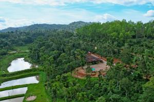 CoffeeINN Homestay - Water Activities, Jeep Ride, Home Food