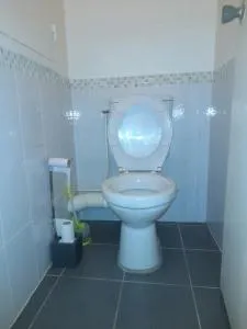 appartement T1 - Bordères-sur-lʼÉchez