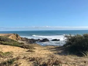 Charmante maison à Jard sur mer sur la côte vendéenne - Jard-sur-Mer
