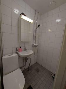 Kotimaailma - Viihtyisä studio lähellä Helsingin keskustaa