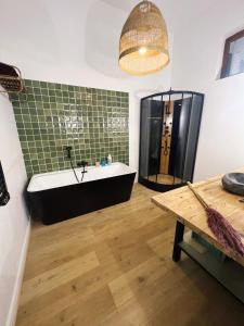 Appartement studio loft cosy centre st Etienne