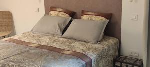 B&B / Chambres d'hotes Domaine de la violette : Chambre Double avec Salle de Bains Privative