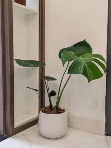 Căn hộ 2 phòng ngủ - đỗ xe máy miễn phí