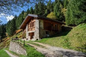 Maso Rapunzel - 佩伊奥