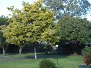Bairnsdale Main Motel