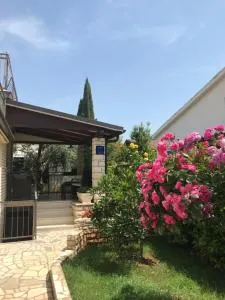 App Sorgo - Karpinjan