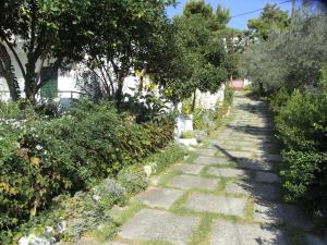 Nefi (Adult Friendly) Skiathos Greece