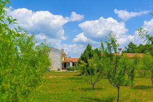 Villa Nela by IstriaLux