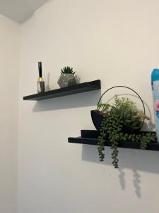 Appartements Disneyland Paris Familly Appart - 7 minutes Disney - Parking - Wifi : photos des chambres