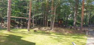 Apartman Divcigora Sokic 2