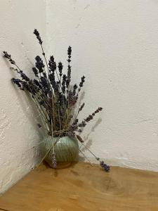 Alewekehue , la primera