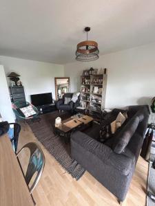 Appartements Appartement agreable 1 chambre : Appartement 1 Chambre