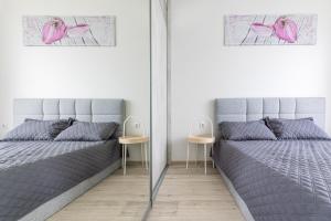 Season Surprise Apartment, By Cohost