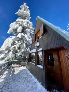Chalet Cermis