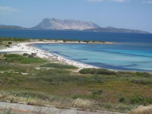 Apartment Pesca by Interhome img16