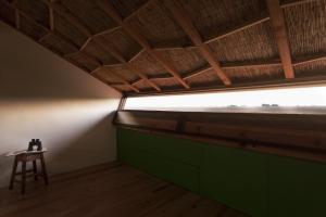 Be and See in Nature