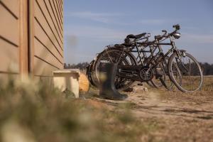 Be and See in Nature