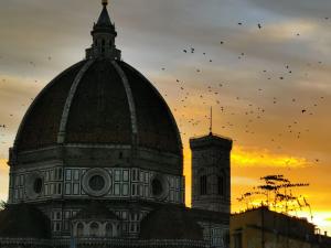 Duomo studio