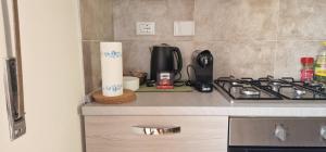 Aretina Florence Villa