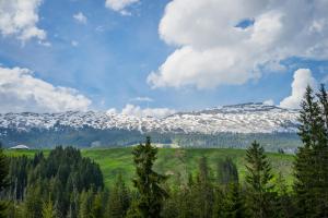 Bergwelten Salwideli