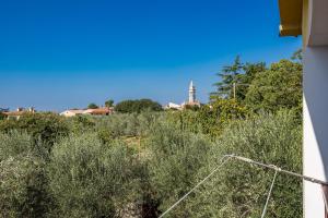 Apartment Tedi with Sea View