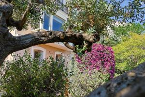 Maison de Maître Centre Ville