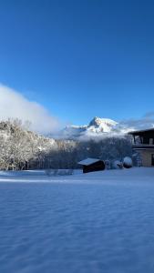 Chalets Megeve « Le Yack » Chalet jusqu'a 15 pers : photos des chambres