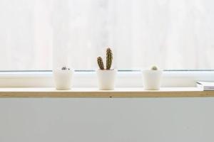 Les bungalows de la Torche - B°3 West