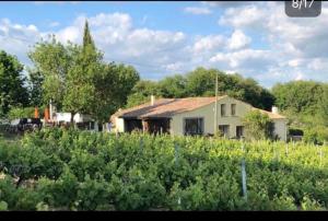 Villas La Maison Tourouzelle : photos des chambres