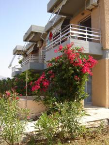 Galini Studios and Apartments