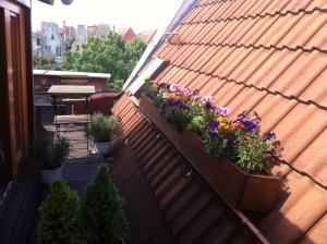 Apartament Piwna