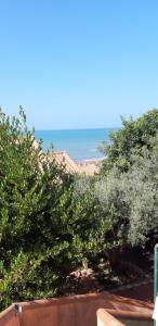 Il Verde Ulivo img1