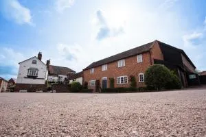 The Loddon Swan - Hales