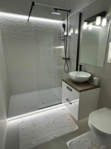 Apartament 2 camere Mogoșoaia