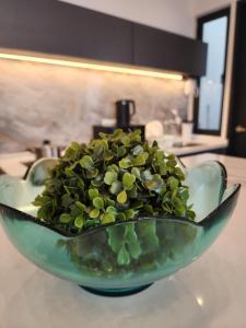 Urban Suite - George Town