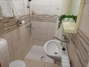 Guesthouse Brodarica (3814) 