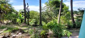 noemi apartments samara beach A-2