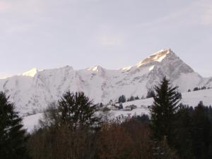 Haus Chalet Beverin