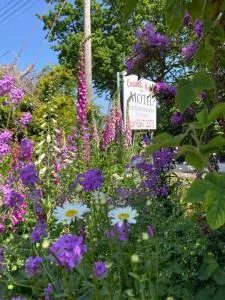 Overdale Motel - Dunmurry