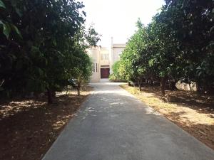 Σπίτι στο Ρίο Πατρών με κήπο - Detached House In Rio With Garden