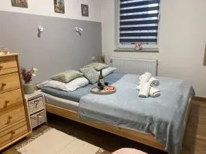 Domek Skalite w Szczyrku - Buczkowice