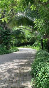 Departamento Pacific Luxury Punta Mita, Beachfront