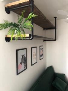 Loft prédio frente mar RodaGigante BrisaMarBC1