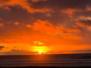 Newly Remodeled Home Just Steps from the Beach!