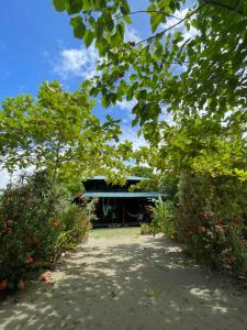 Casa Kumbaya Costa Rica