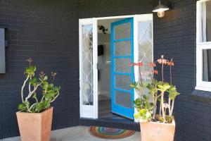 The Alfred, Mittagong